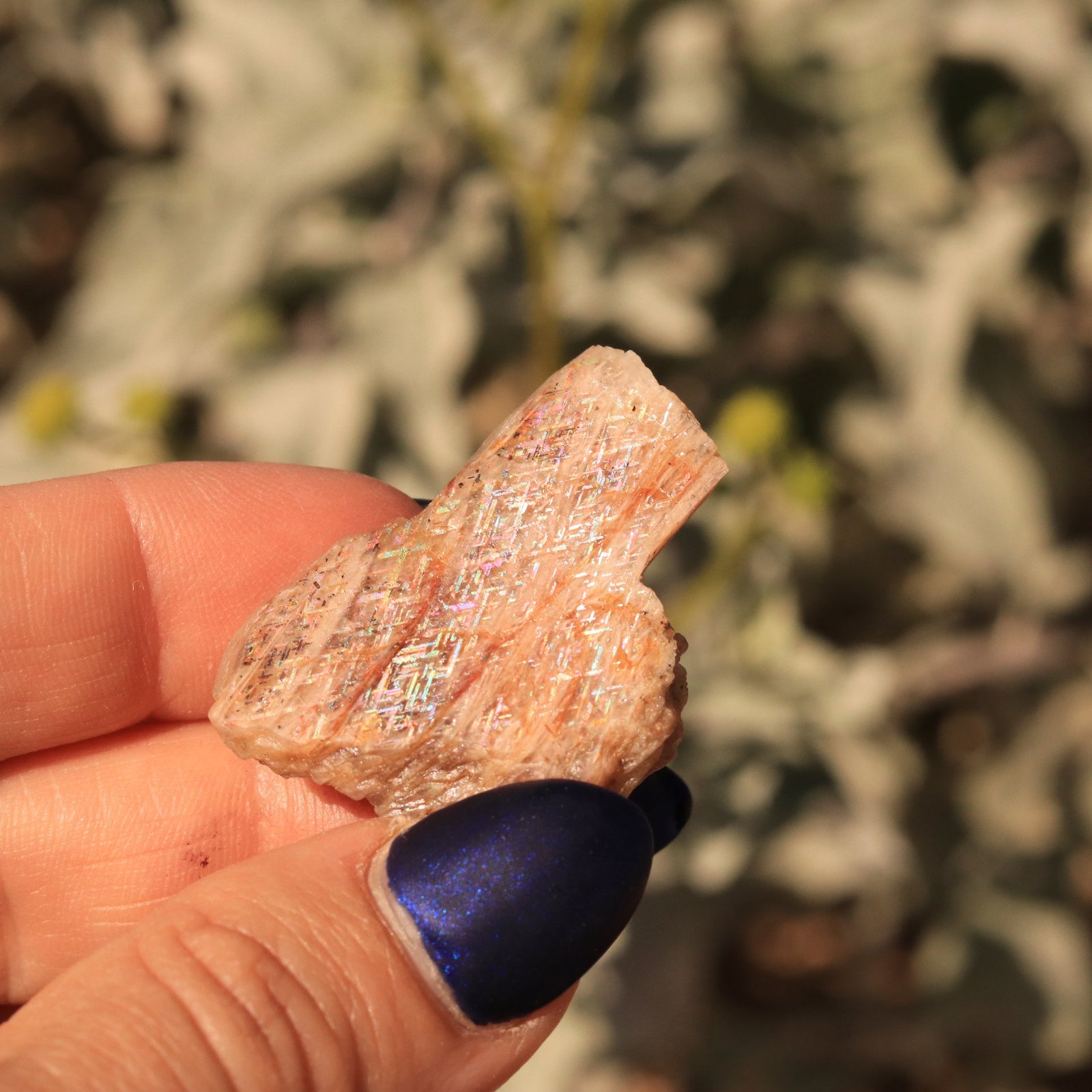 16.4 CT Rare Australian Rainbow Lattice Sunstone Moonstone Collector’s Gemstone