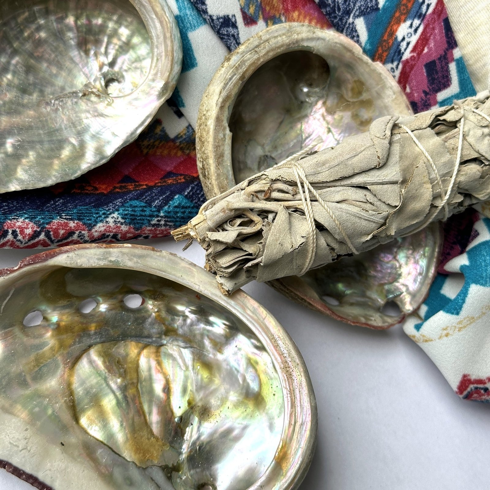 Abalone Shells – Perfect for Smudging and Incense