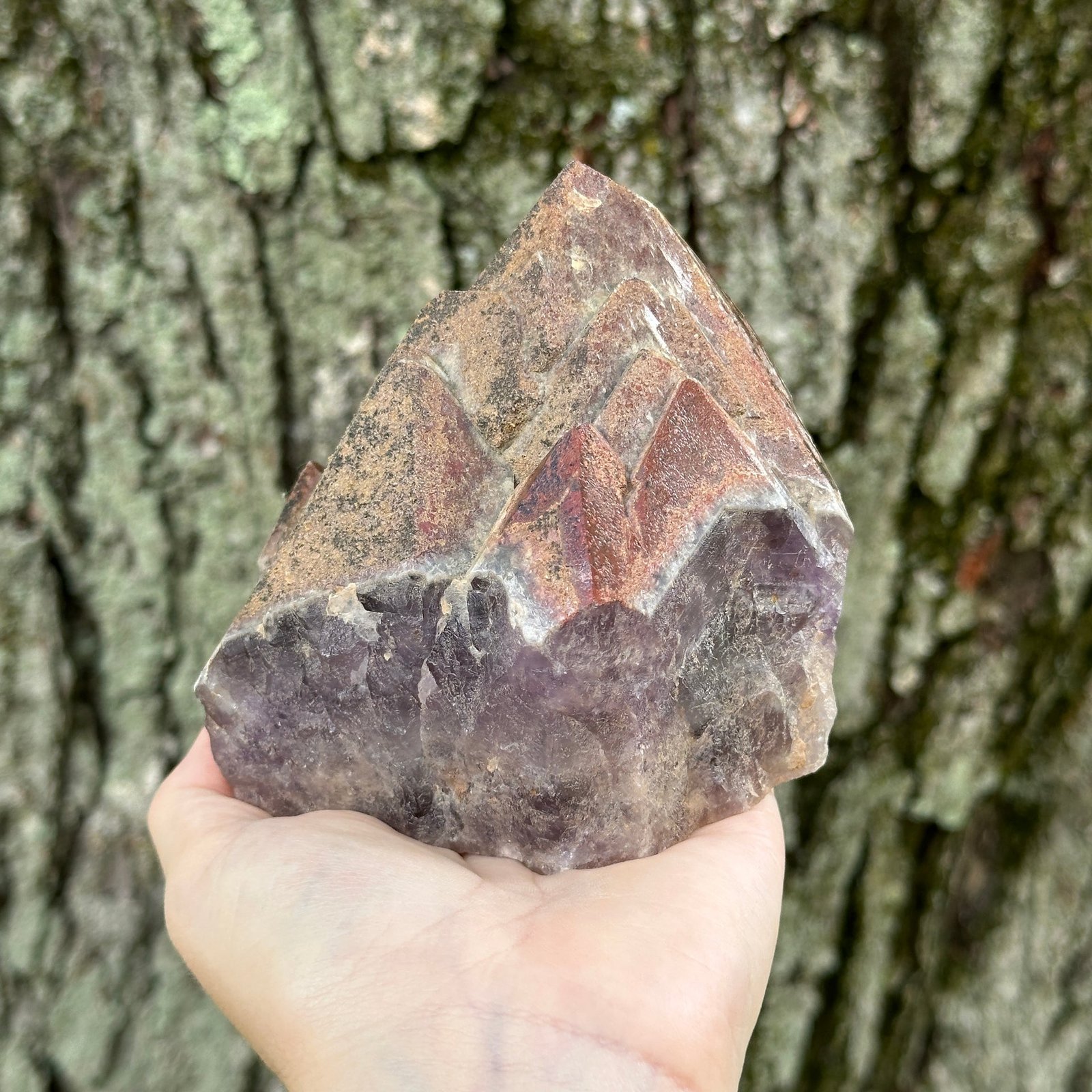 Auralite 23 Natural Point with Amazing Record Keepers – From Ontario, CA