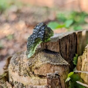Authentic High Grade Moldavite Tektite Crystal