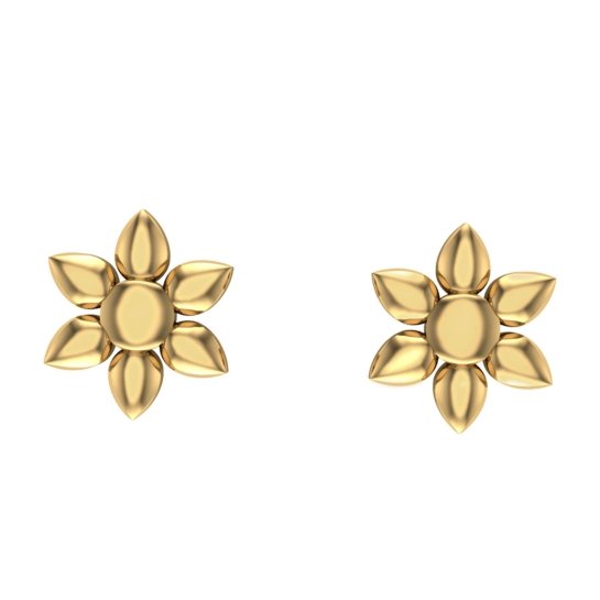 Beautiful Stud Earrings