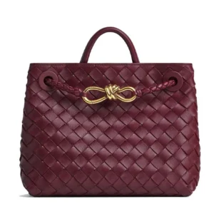 Bottega Veneta Small Andiamo Bag | Luxury LD