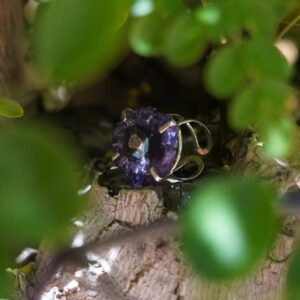 Brazilian Amethyst Stalactite Adjustable Rings