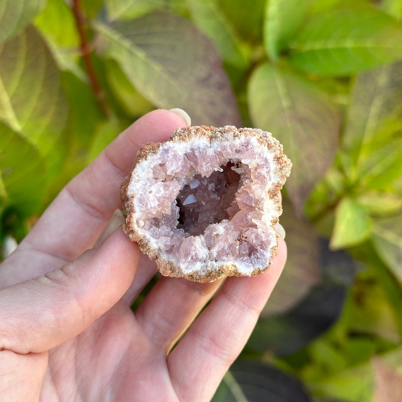 Bright and Cheerful Small Grade A Pink Amethyst Geodes from Colli Cura Mine ~ Argentina Bright and Cheerful Small Grade A Pink Amethyst Geodes from Colli Cura Mine ~ Argentina