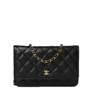 Chanel Classic Wallet on Chain – Iconic Quilted Mini Bag