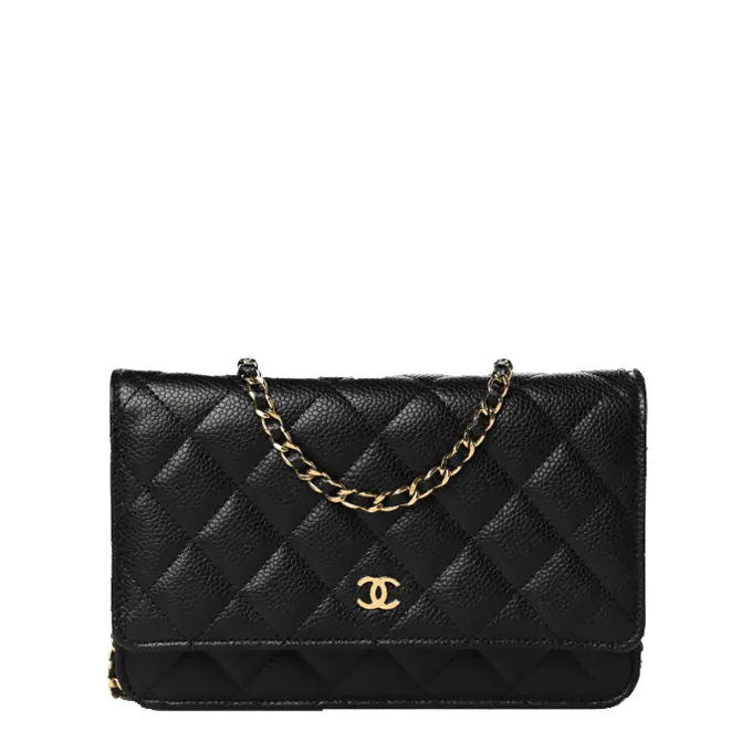 Chanel Classic Wallet on Chain – Iconic Quilted Mini Bag