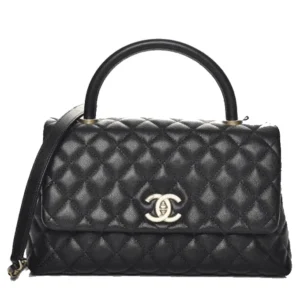 Chanel Coco Handle Platinum | Designer-Inspired Bag
