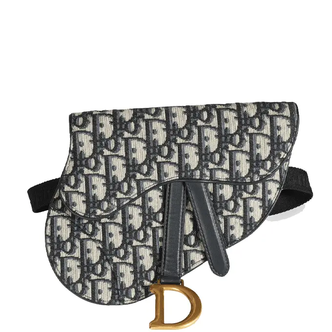Christian Dior Saddle Flat Belt Pouch | Iconic Belt