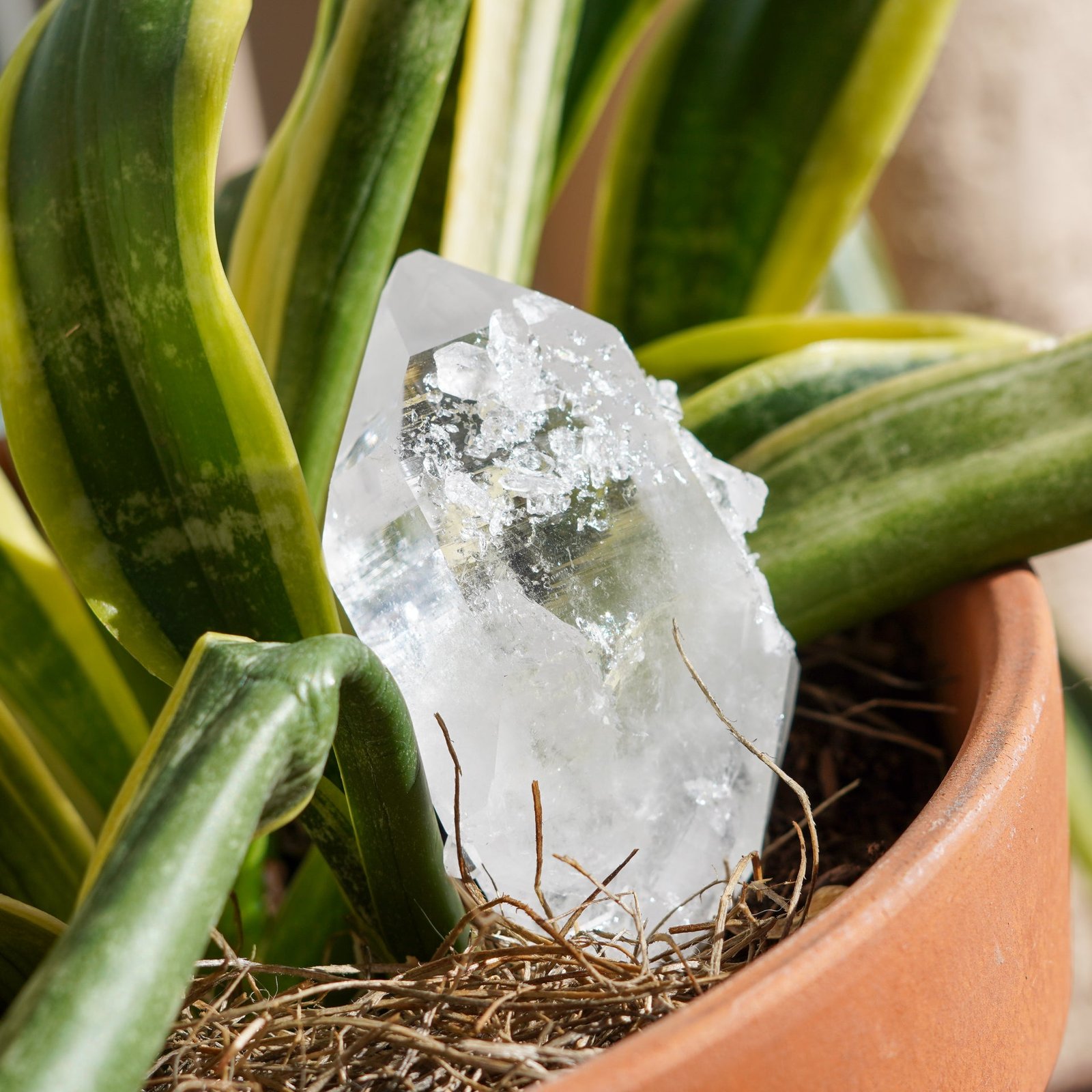 Clear Quartz from Ron Coleman Mine, Arkansas USA