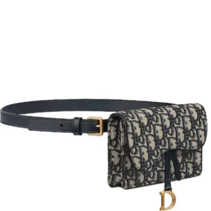 Dior Saddle Belt Pouch | Iconic Belt