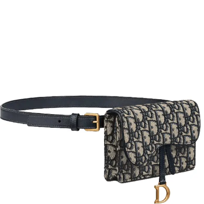 Dior Saddle Belt Pouch | Iconic Belt