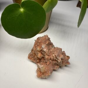 Dog Tooth Calcite Cluster from Peru