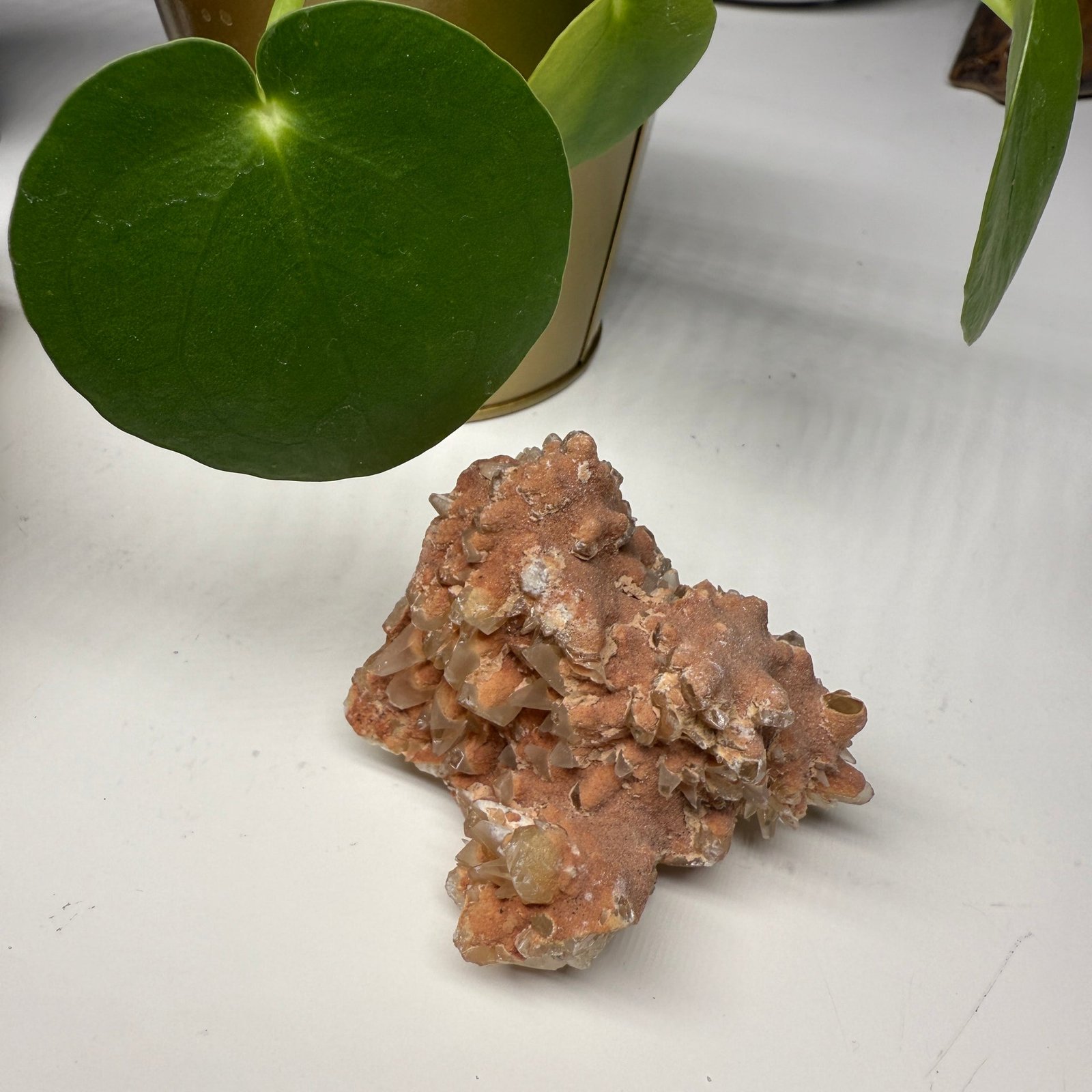 Dog Tooth Calcite Cluster from Peru