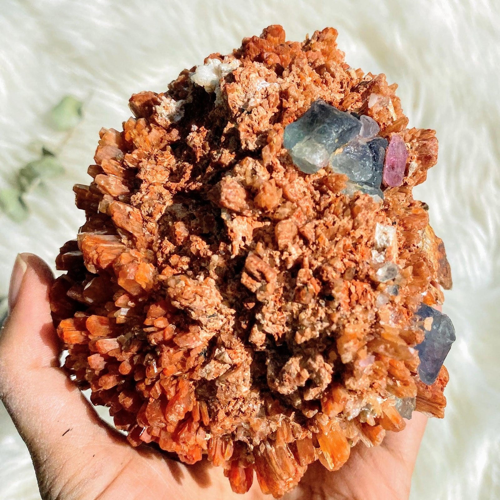 Fabulous Fluorite Inclusions XL Deep Orange Creedite Natural Specimen -Locality Mexico