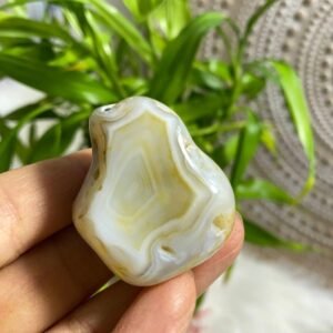 Fairburn Agate Partially Polished Specimen From Black Hills, South Dakota, USA