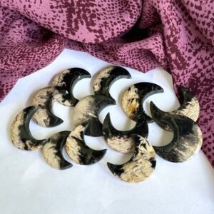 Fossilized Palm Root Crescent Moon Carvings - Ideal for Crafting Cabochon