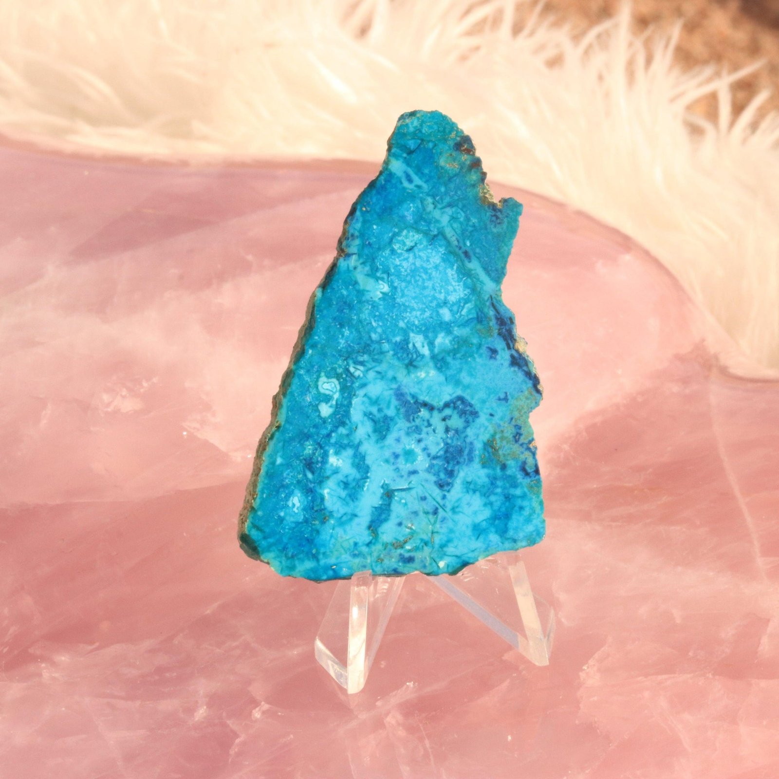 Gorgeous Blue Chrysocolla with Shattuckite Polished Slice, Locale Mexico