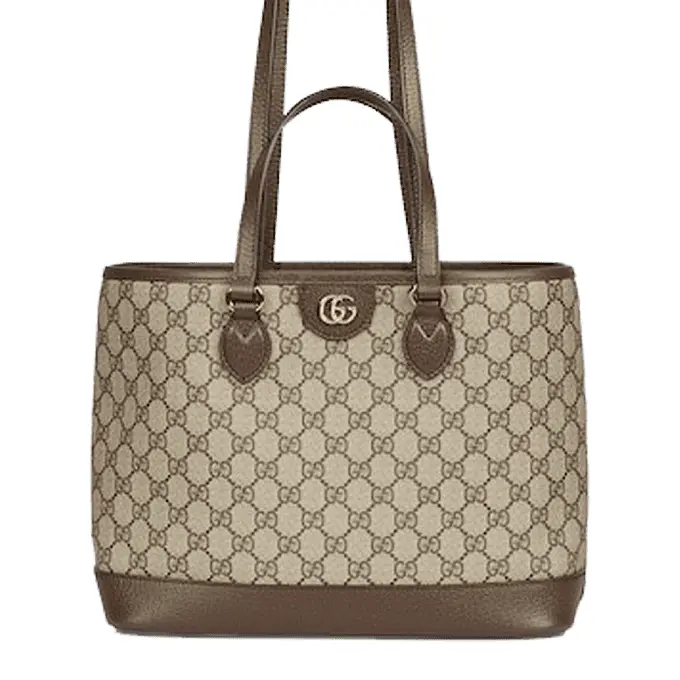Gucci Ophidia GG Mini Tote Bag | Premium Backpack