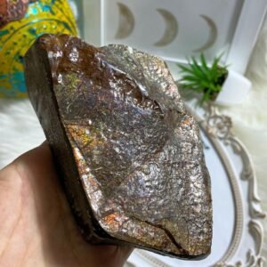Incredible & Rare Partial Ammolite Fossil Chunky Standing Display Specimen from Alberta, Canada