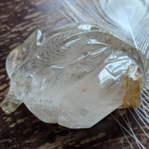 Large 1.1 KG Carving Alligator on a Crystal Bed Brazilian Garden Quartz with Inclusions