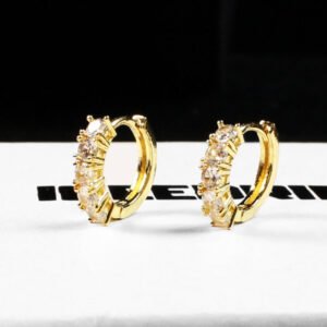 Limited 18K Gold-Plated AAA CZ Hinge Earring