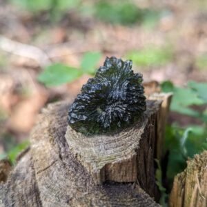 Museum Grade A Moldavite Tektite Crystal