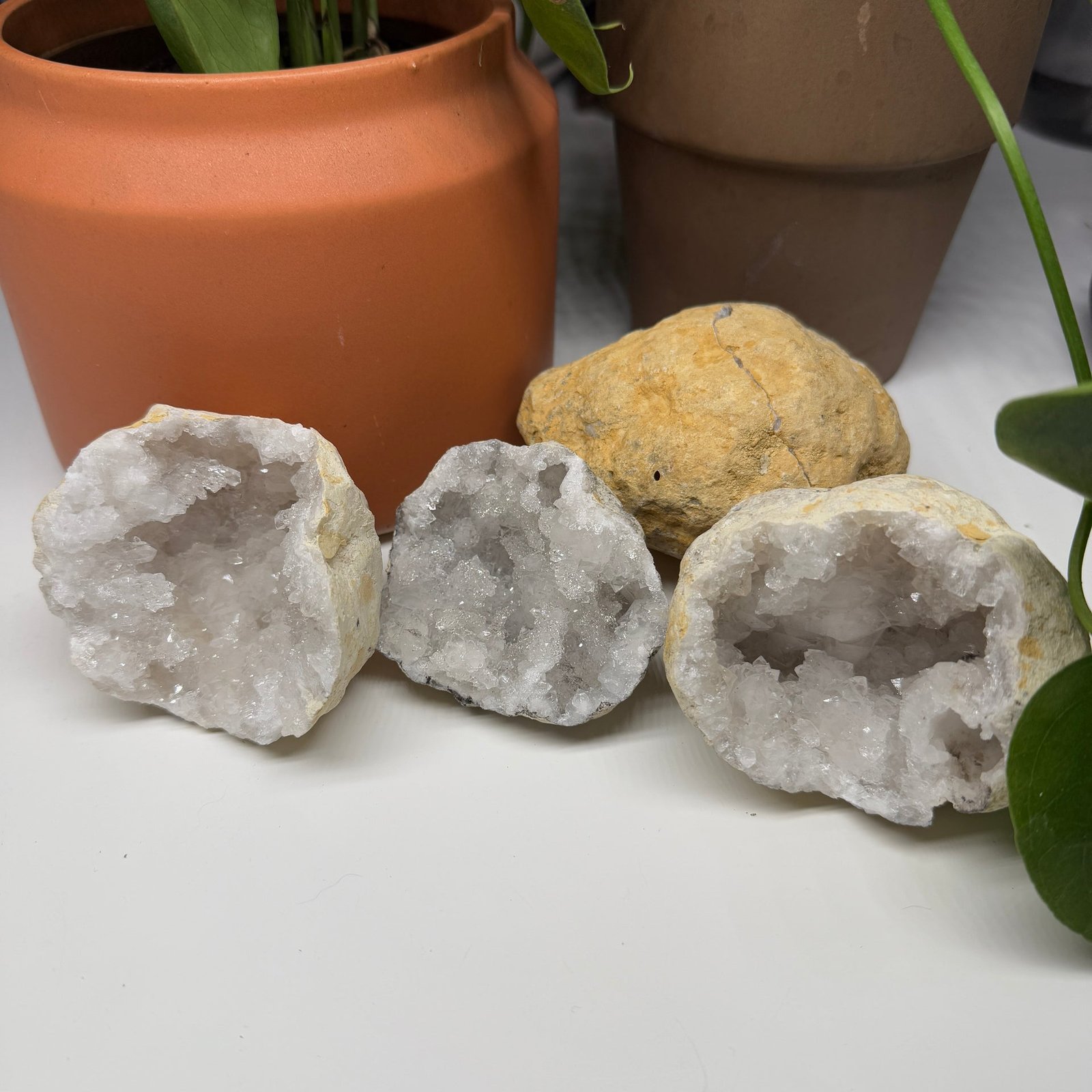 One Morroccon Geode Whole / Cracked with Dazzling Micro Quartz Inside One Morroccon Geode Whole / Cracked with Dazzling Micro Quartz Inside