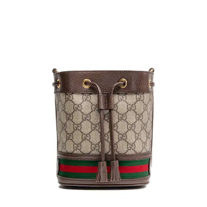 Ophidia Mini GG Bucket Bag | Chic Bag