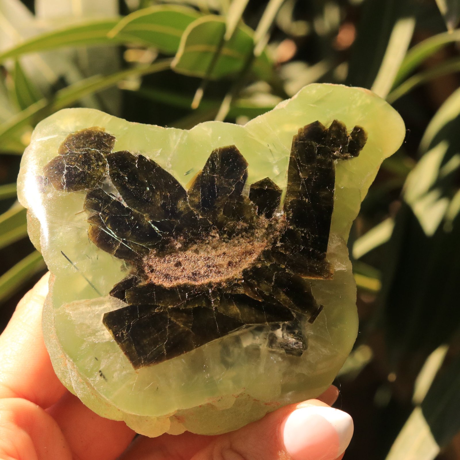 Partially Polished Botryoidal Prehnite Specimen with Epidote from Malawi, Africa Partially Polished Botryoidal Prehnite Specimen with Epidote from Malawi, Africa