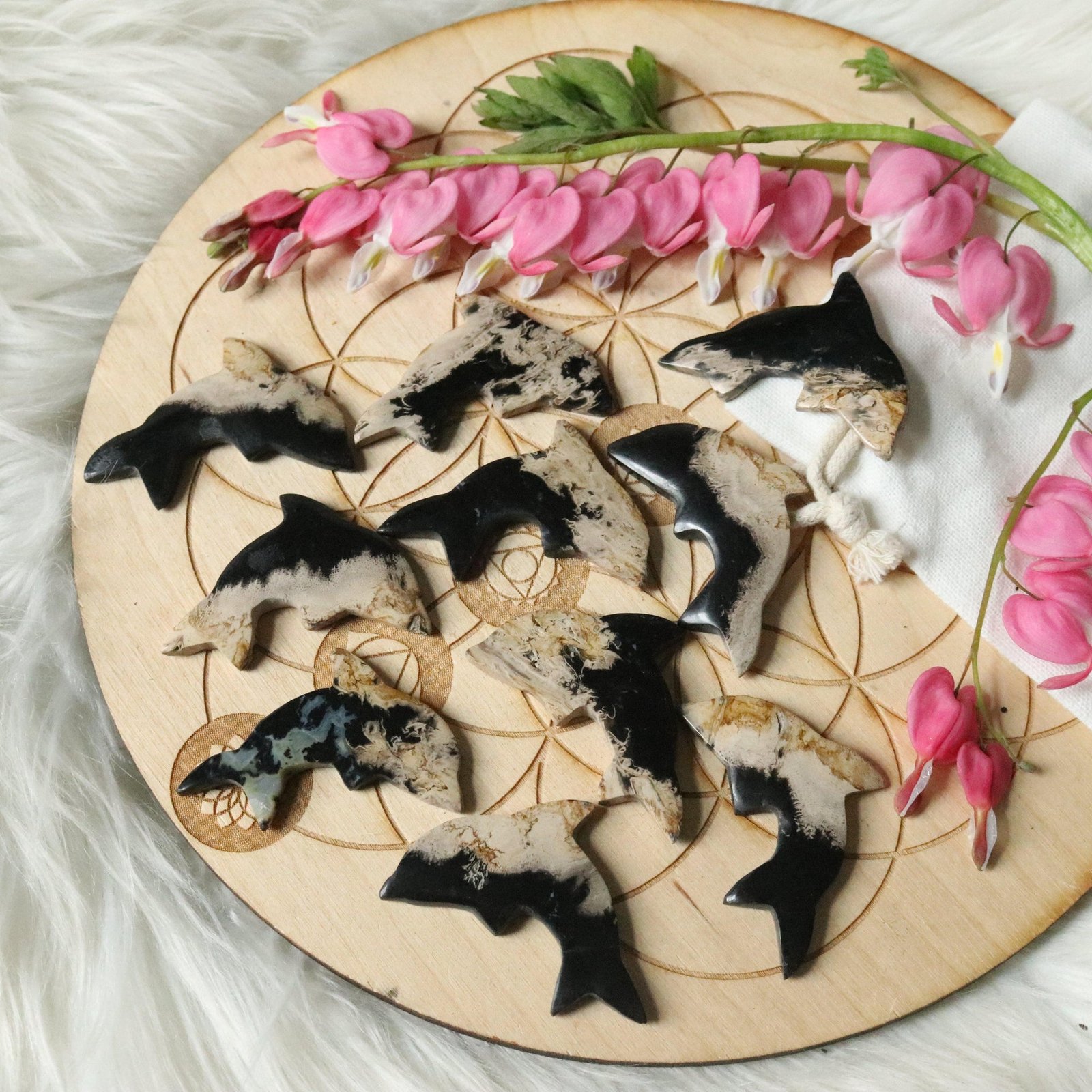 Petrified Palm Root Dolphin Carving Cabochon Petrified Palm Root Dolphin Carving Cabochon
