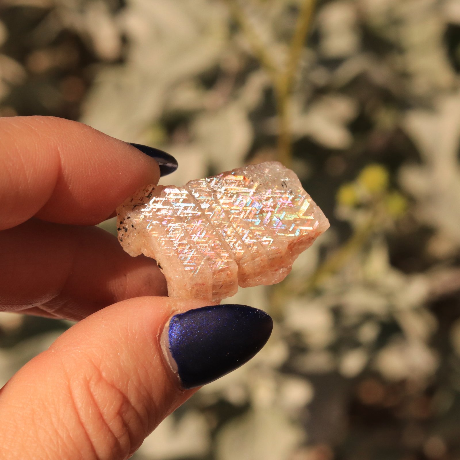 Rare Collector’s Specimen 6 CT Gemmy Rainbow Lattice Sunstone from Australia