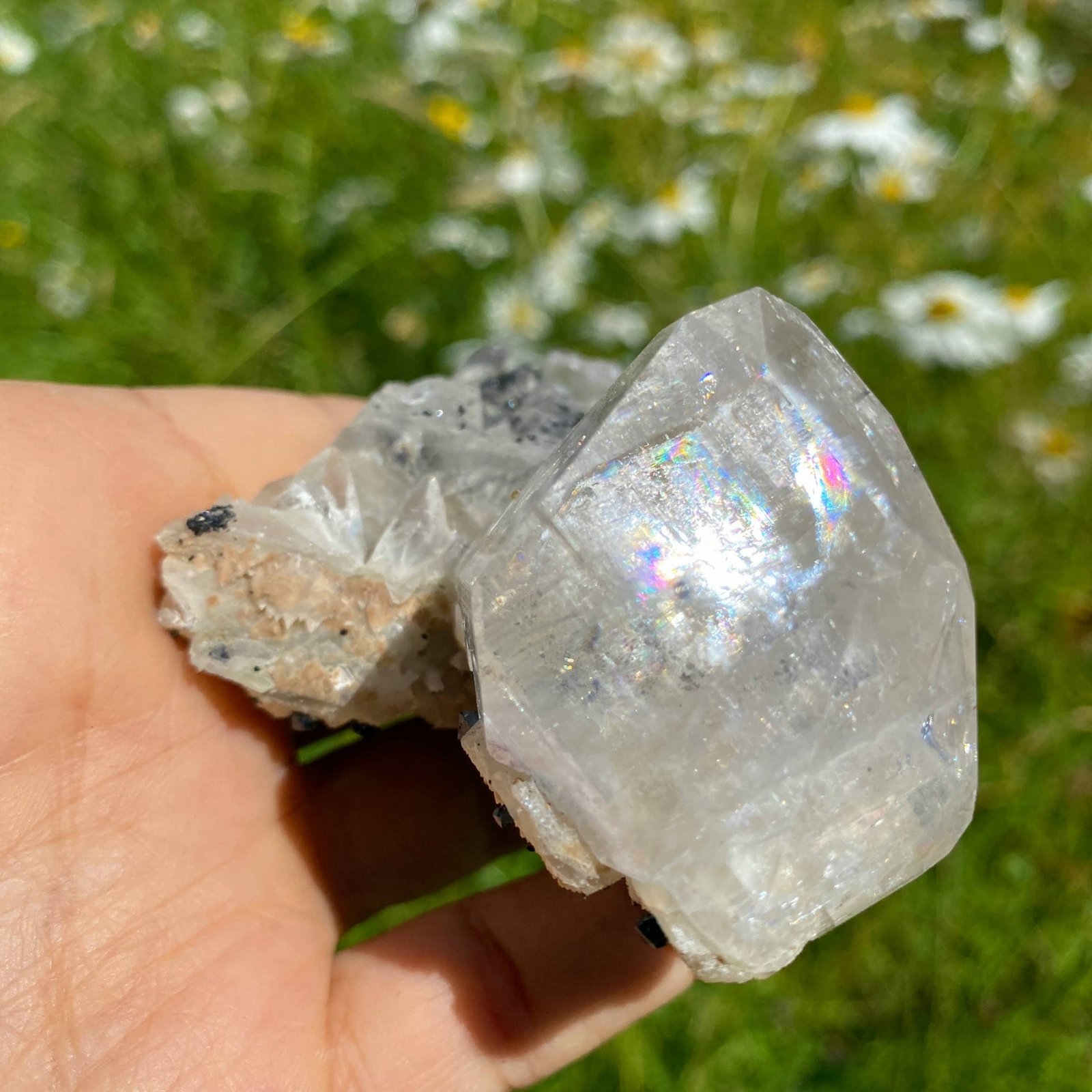 Rare Find ~Old World Collection Natural Calcite & Black Ilvaite Crystals from Dalnegorsk, Russia Rare Find ~Old World Collection Natural Calcite & Black Ilvaite Crystals from Dalnegorsk, Russia