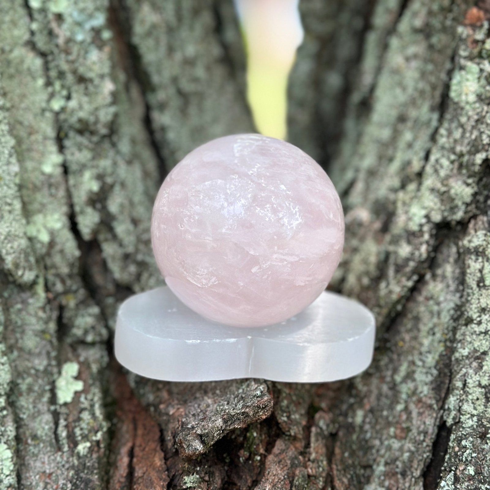 Rose Quartz Sphere from Brazil – Includes Carved Selenite Stand