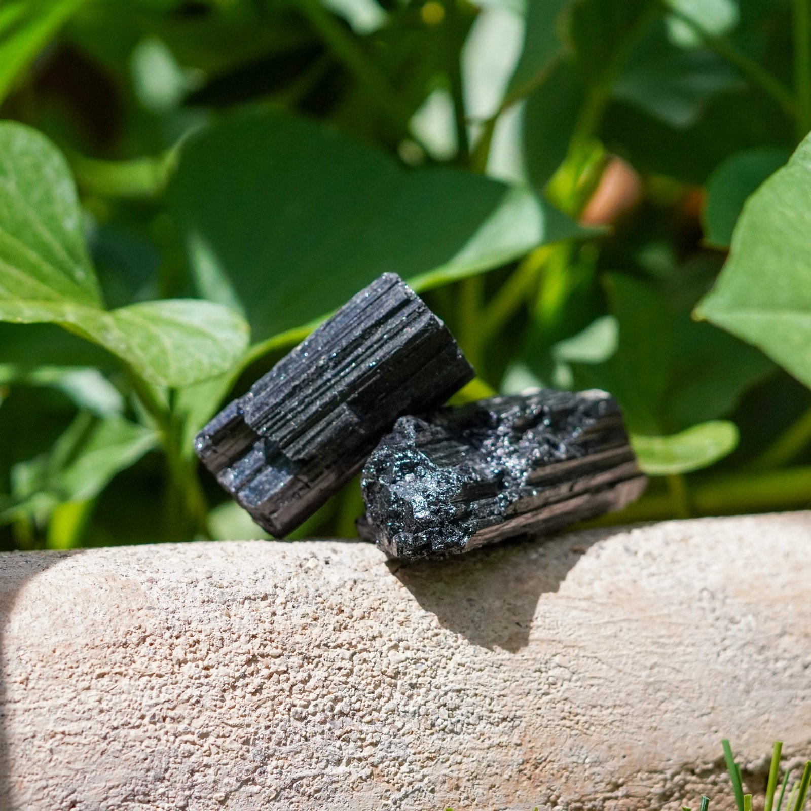 Set of 2 Black Tourmaline Crystals from Brazil Set of 2 Black Tourmaline Crystals from Brazil