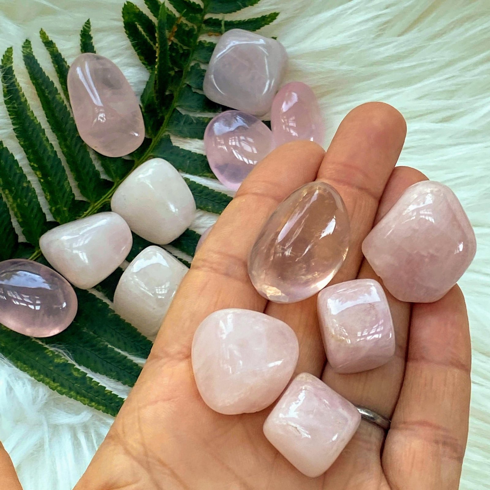 Set of 4 Sweet Pink Rose Quartz Tumbled Stones Set of 4 Sweet Pink Rose Quartz Tumbled Stones