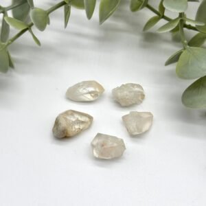 Set of 5 Mini Clear Quartz Crystal Points Perfect for Crystal Grids!