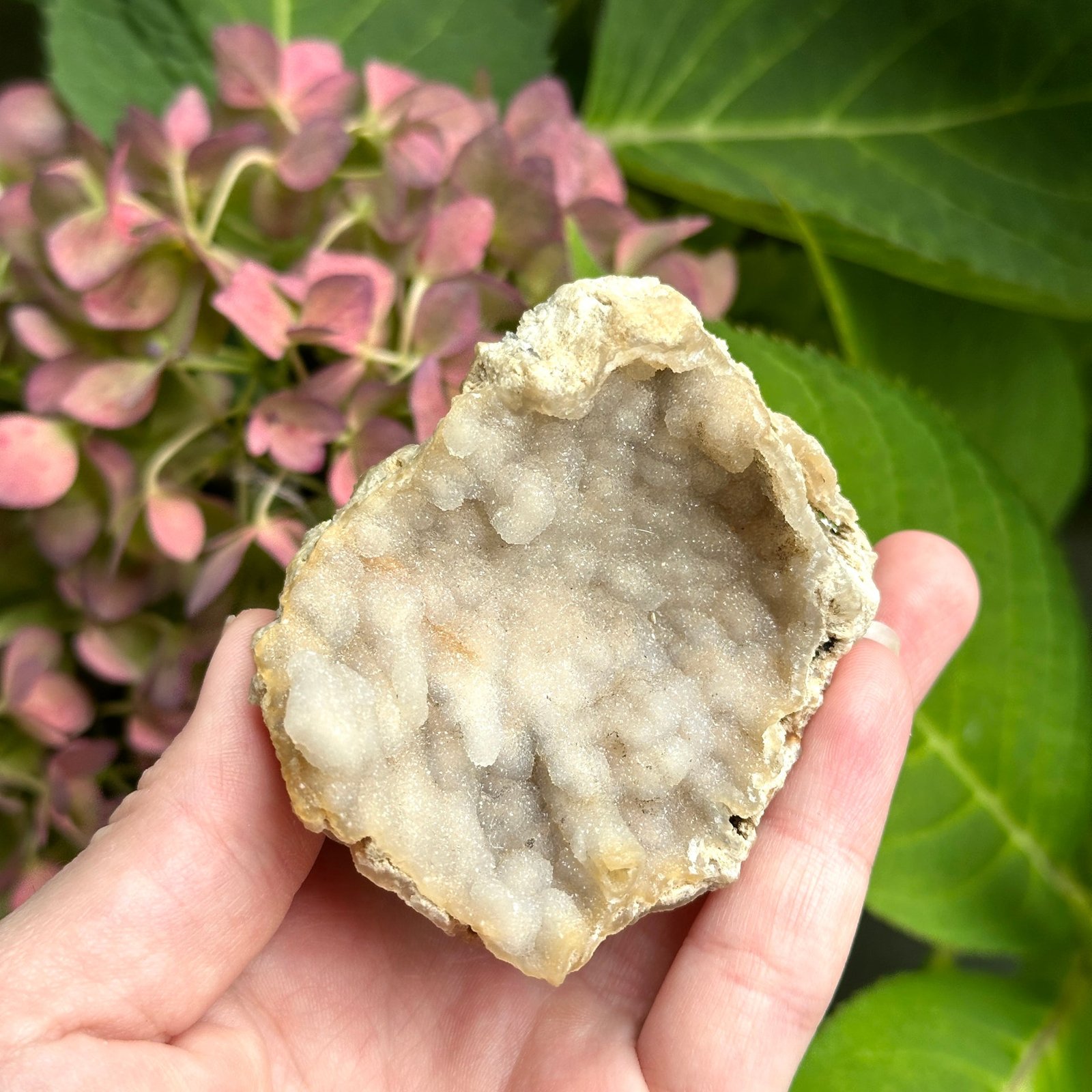 Shimmering Chalcedony Geode Specimen Shimmering Chalcedony Geode Specimen
