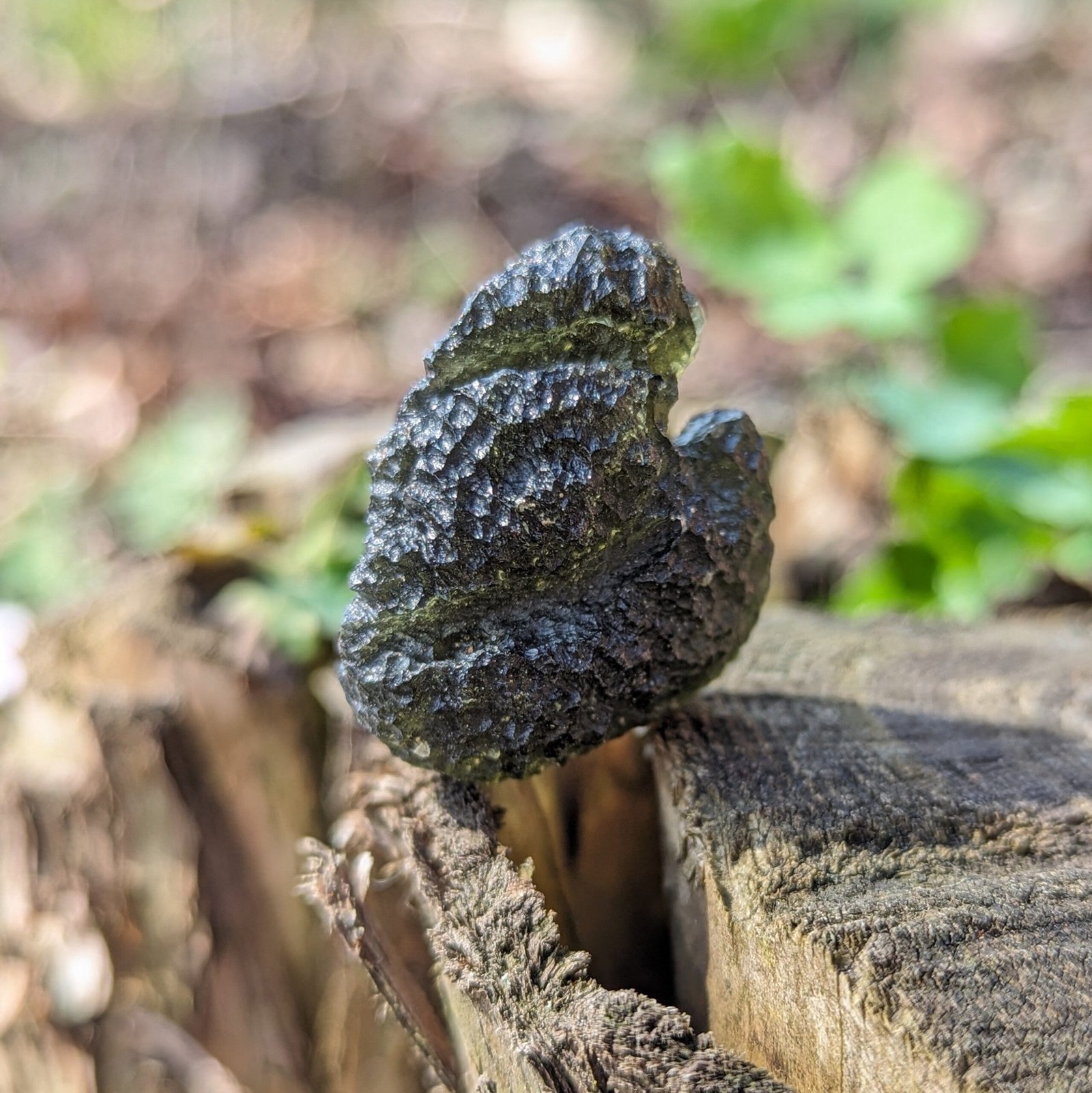 Shop Authentic Moldavite Crystal – Earth Family Crystals