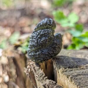 Shop Authentic Moldavite Crystal - Earth Family Crystals