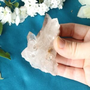 Smoky Quartz Cluster Specimen with Golden Rutile Inclusion