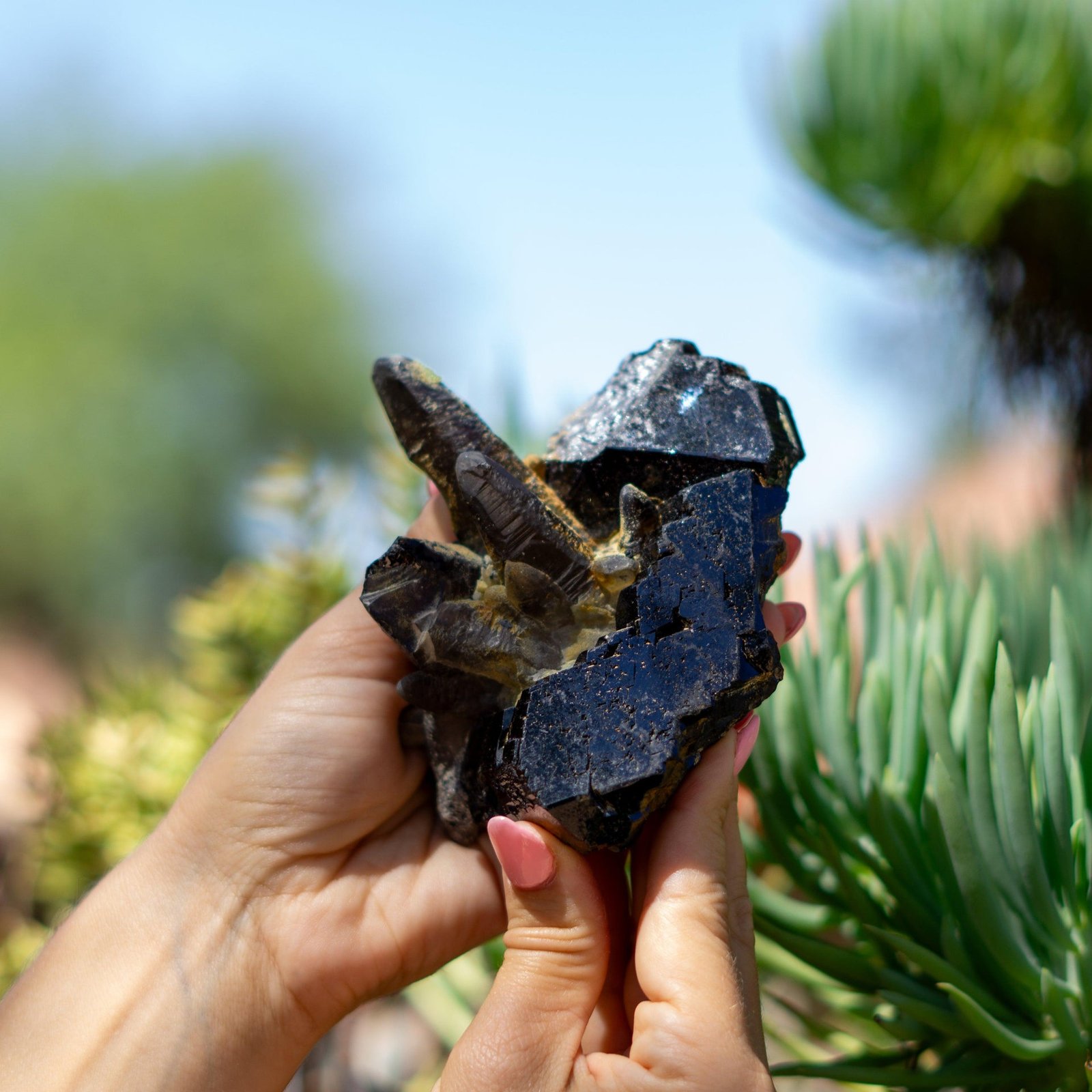 Terminated Black Tourmaline with Smoky Quartz from Erongo Region