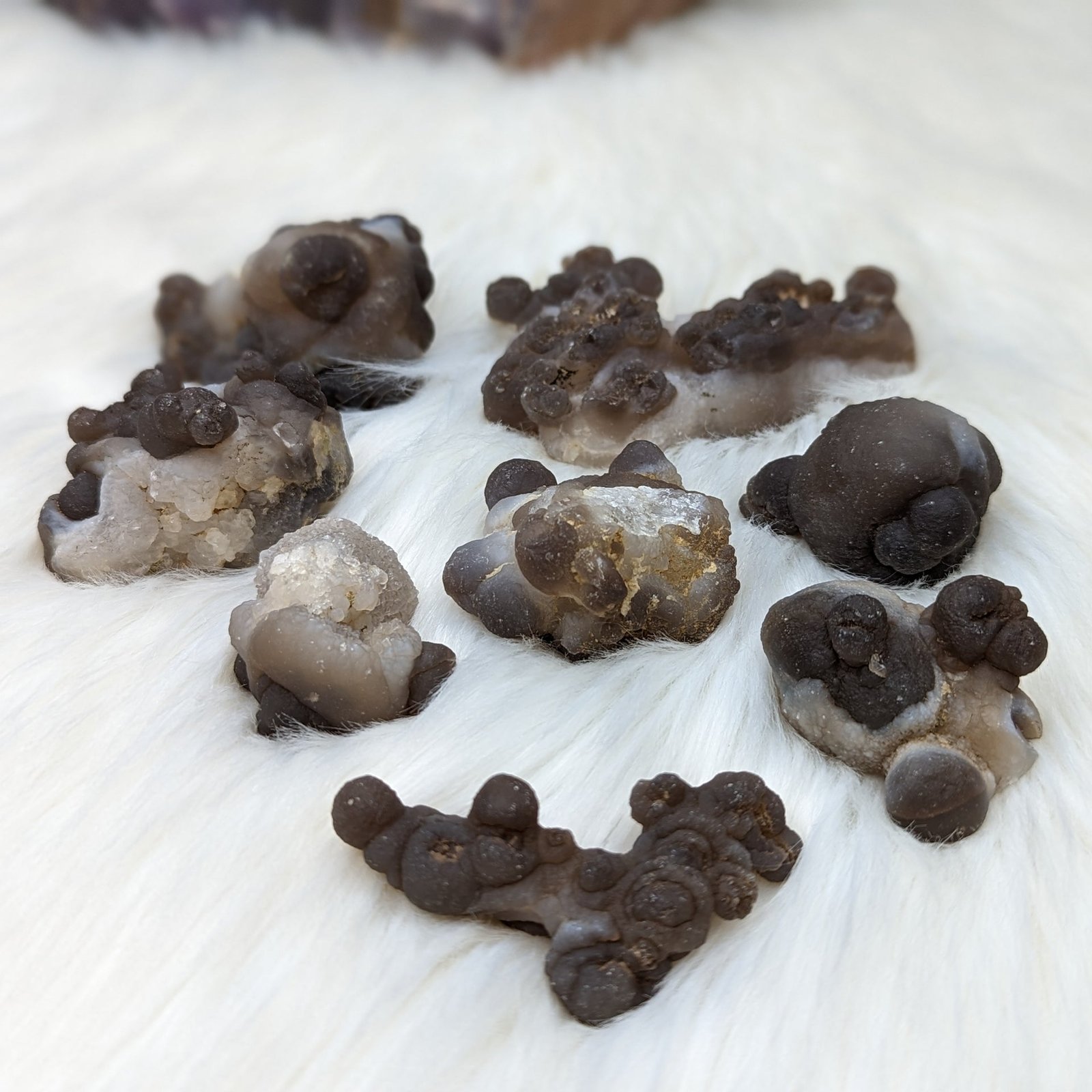 Truffle Chalcedony Specimens ~ Small Specimens From Morocco