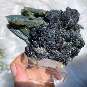 Very Rare Greek Seriphos Green Quartz Points Nestled On Crystal Matrix on Display Stand ~Locality: Serifos, Greece