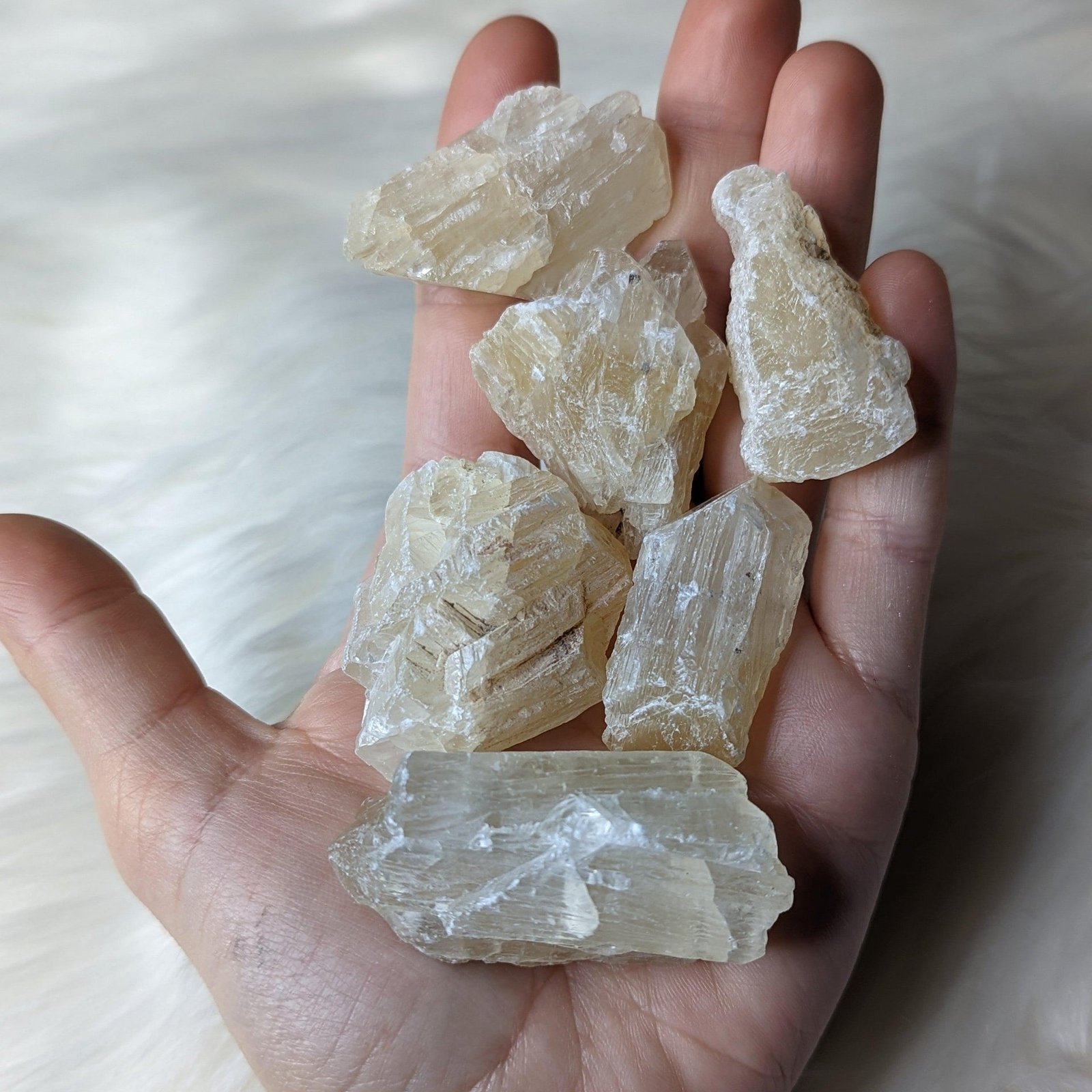 Yellow Calcite Crystals Set of 6